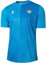 HUMMEL-Real Betis Home Portiere 2023/2024