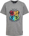 HUMMEL-T-shirt enfant Harry Potter