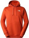 THE NORTH FACE-M OUTDOOR GRAPHIC HOODIE LIGHT