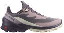 SALOMON-Cross Over 2 Gore-Tex