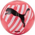 PUMA-Ballon de football Big Cat
