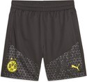 PUMA-Short D’Entraînement 2023/24 Borussia Dortmund