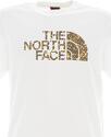 THE NORTH FACE-M Easy Tee