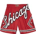 Mitchell & Ness-Short Chicago Bulls NBA Blown Out Fashion