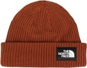 THE NORTH FACE-Salty Dog Lined Beanie