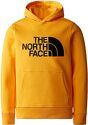 THE NORTH FACE-Pull Drew Peak Hoodie Summit Gold