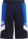 adidas-FC Schalke 04 Colorblock short
