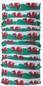 BUFF-Scaldacollo Original Ecostretch Welsh Flag 2010