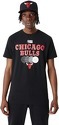 NEW ERA-T-shirt NBA Chicago Bulls team Graphic Noir pour Homme