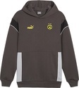 PUMA-Hoodie FtblArchive Borussia Dortmund
