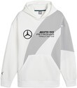PUMA-Hoodie Statement Mercedes-AMG Petronas Motorsport Homme