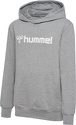 HUMMEL-HMLGO 2.0 LOGO HOODIE KIDS