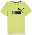 PUMA-ESS Logo Tee B