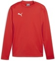 PUMA-teamGOAL Training Sweat