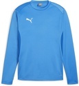 PUMA-teamGOAL Training Sweat