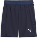 PUMA-teamFINAL Shorts