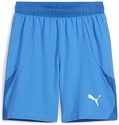 PUMA-teamFINAL Shorts