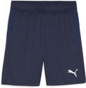 PUMA-teamGOAL Training Short