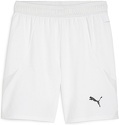 PUMA-teamFINAL Shorts