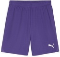 PUMA-teamGOAL Shorts