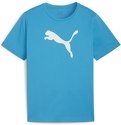 PUMA-teamRISE Logo Jersey Cotton Jr