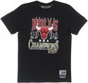 Mitchell & Ness-T-shirt Chicago Bulls Last Dance Champions 1996