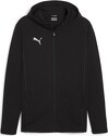 PUMA-Sweatshirt à capuche zippé TeamFinal