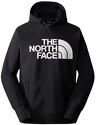 THE NORTH FACE-M TEKNO LOGO HOODIE