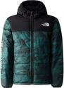 THE NORTH FACE-B NEVER STOP SYNTHETIC JACKET