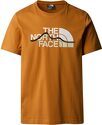 THE NORTH FACE-Mountain Line Tee
