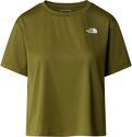 THE NORTH FACE-W FLEX CIRCUIT S/S TEE
