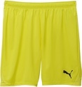 PUMA-teamGOAL Shorts