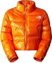THE NORTH FACE-W Rusta 2.0 Synth Ins Puffer