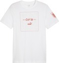 PUMA-Autriche Ftbl Icons t-shirt