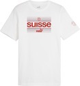 PUMA-Suisse Ftbl Icons t-shirt