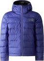 THE NORTH FACE-B NEVER STOP DOWN JACKET