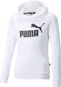 PUMA-X Ess Logo Hoodie Tr G