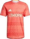 adidas Performance-T-shirt de training Équipe d'Éthiopie HEAT.RDY