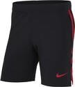 NIKE-Short training RC Toulon 2023/2024