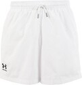 UNDER ARMOUR-Shorts Woven Volley