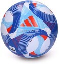 adidas Performance-Ballon Île-De-Foot 24 League