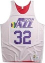 Mitchell & Ness-Maillot Utah Jazz Karl Malone 1991