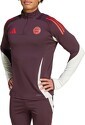 adidas-Bayern Munich Training Top