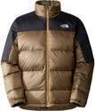 THE NORTH FACE-M Diablo Recycled Down Veste