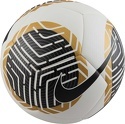 NIKE-Pitch Ball