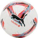 PUMA-Orbita LaLiga 1 ballons de match