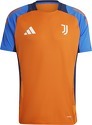 adidas-Juventus Training 2024-2025
