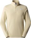 THE NORTH FACE-M 100 Glacier 1/4 Zip