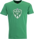 HUMMEL-T-shirt ASSE 2022/23 Fan Green