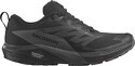 SALOMON-SENSE RIDE 5 GTX Grise / Noire AH 2023